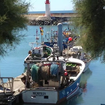 L'ecailler La Cotinière